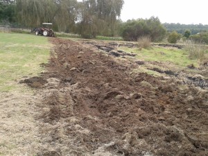 The start of ploughing
