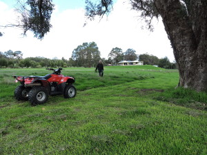 Quad bike