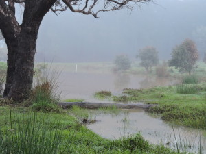 The main dam after heavy rain
