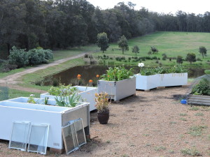 The original fridge garden