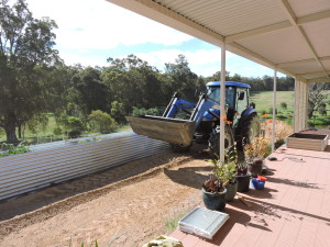 My new garden, a work in progress