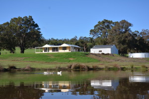 View of house, shed & water tank