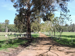 View up main driveway to front gate