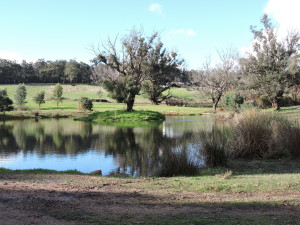 Main dam