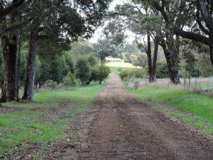 View of the house from Mailman Road gate 