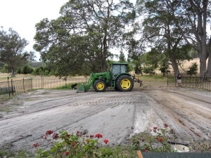 Top-dressing Shadow's lawn