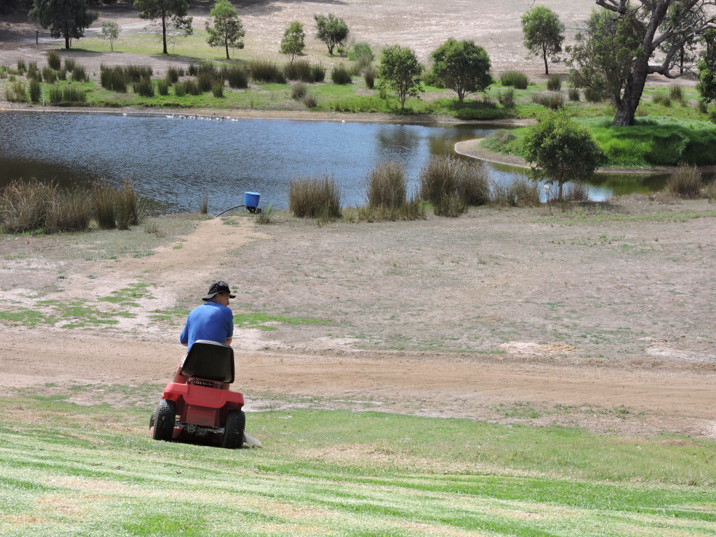 mowing the bank below the house