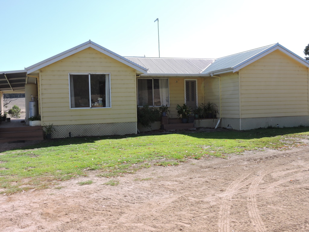 new lawn in front of the house