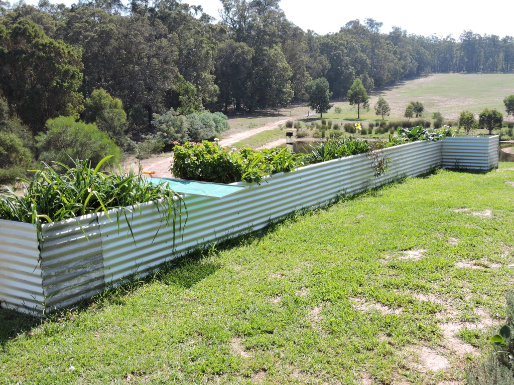 the fridge garden & new lawn