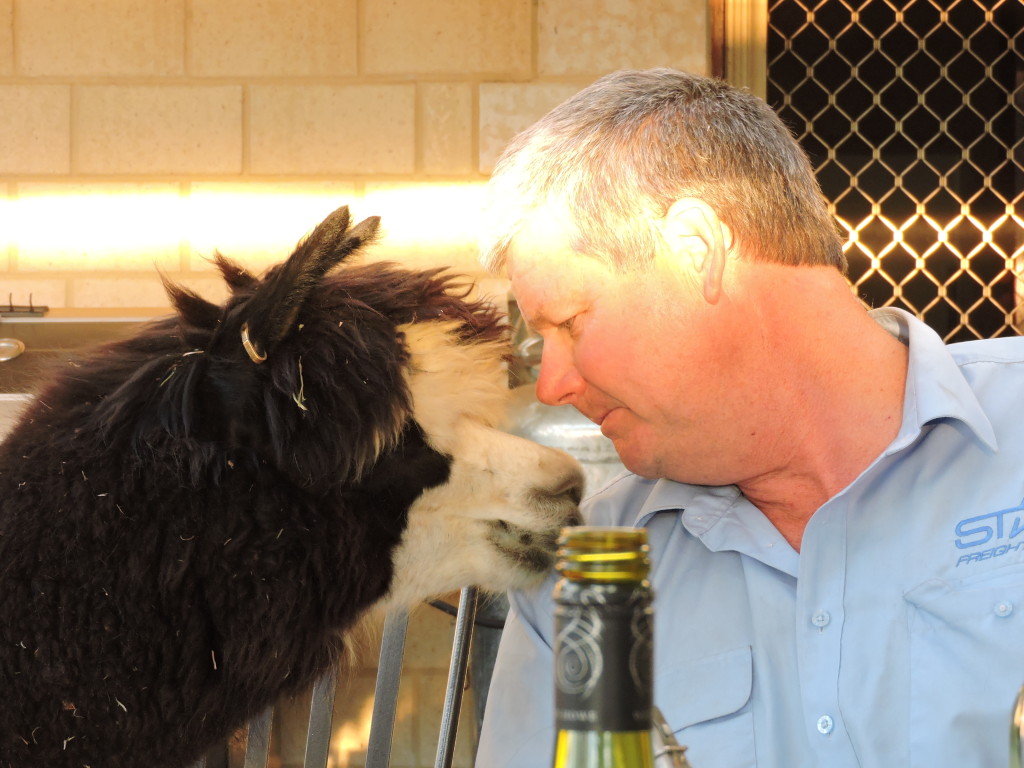 John with Ebony, the most inquisitive of animals