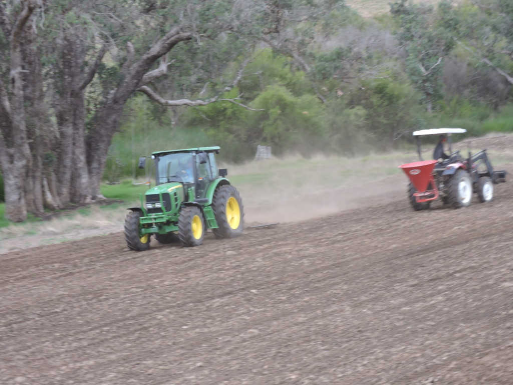 seeding & harrowing House paddock