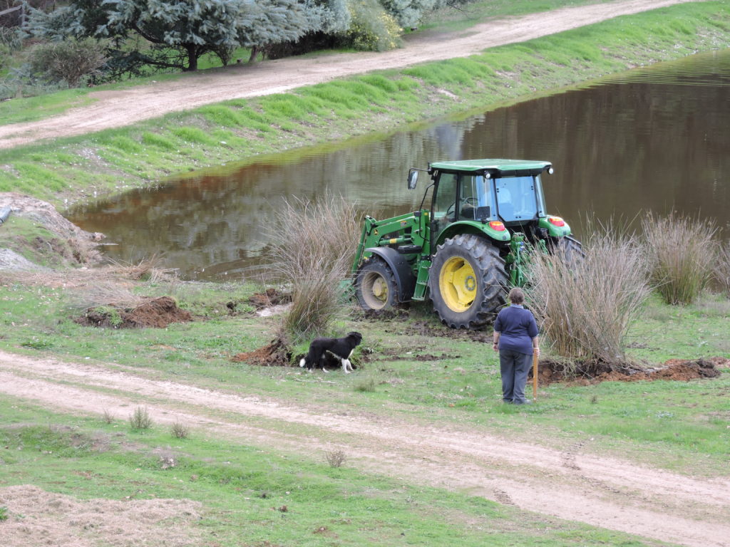 The start of landscaping Main Dam